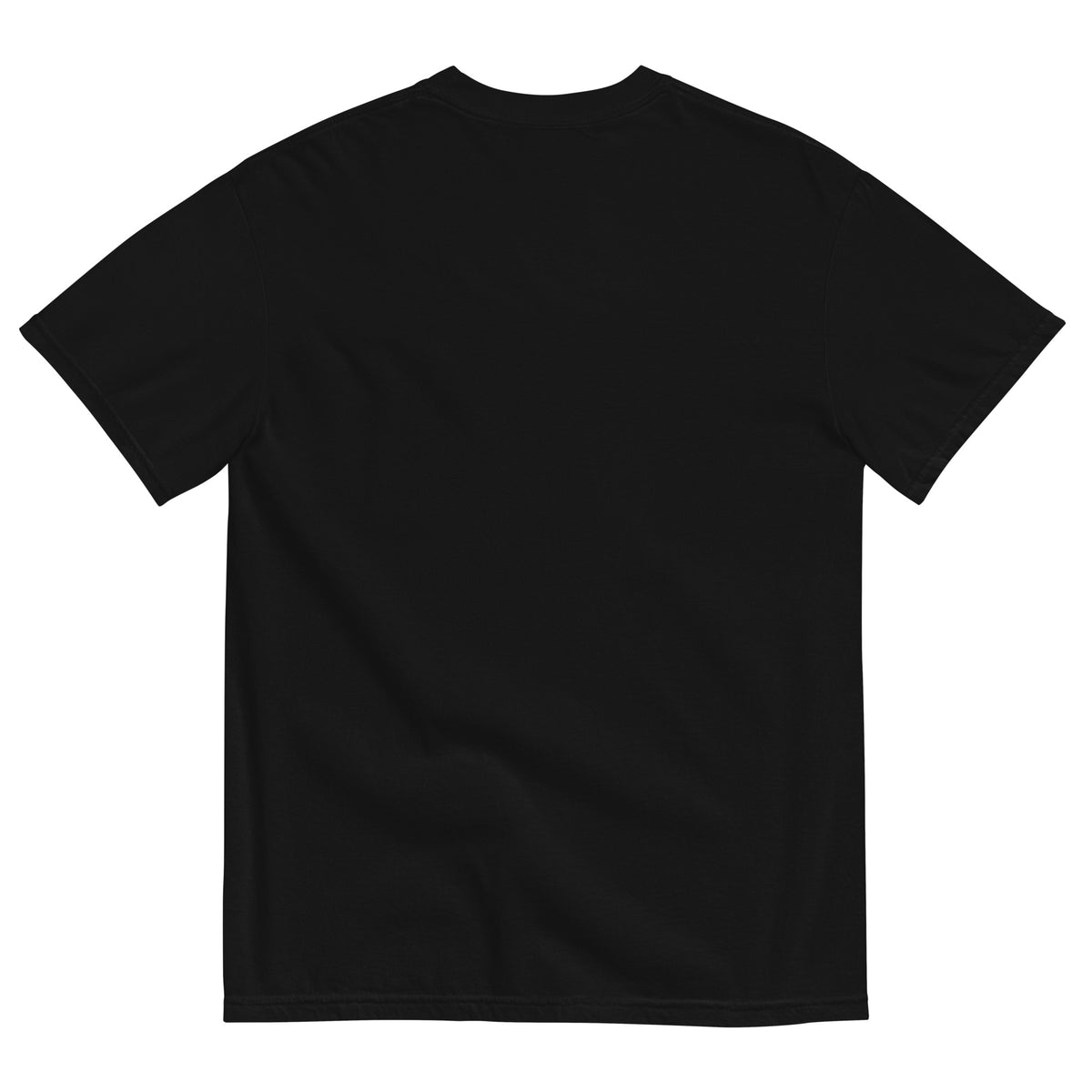 Struggle of Acceptance T-Shirt